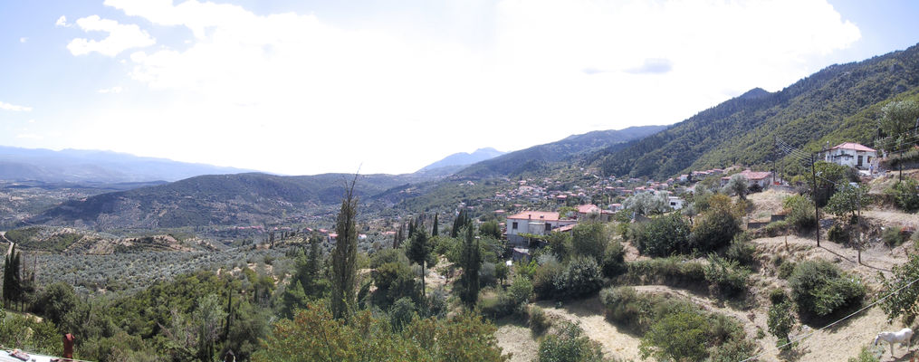 wide angle view of loganikos 
